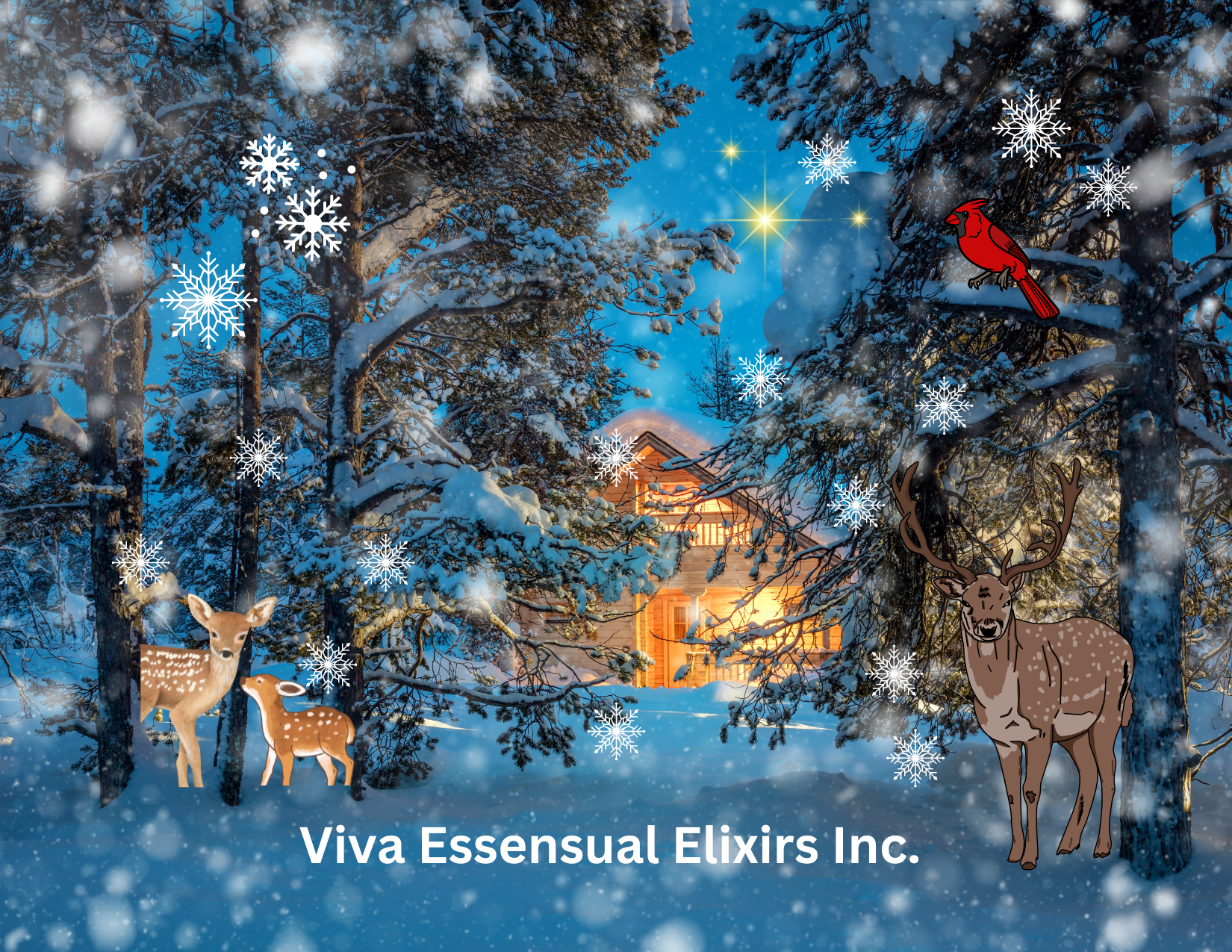 WINTER WONDERS