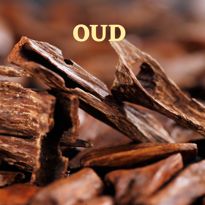 OUD EMBRACE ~ 5 ML HOME SCENT ~ FOR DIFFUSERS, BEADED JEWELLERY & MORE